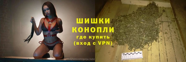 прущий лед Богданович